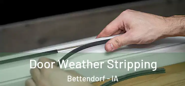 Door Weather Stripping Bettendorf - IA