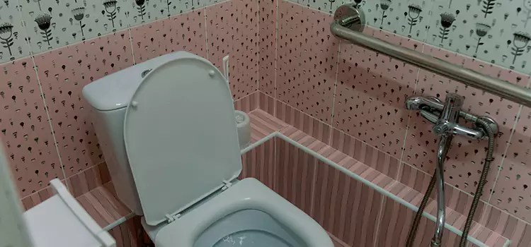 Meeting Diverse Needs With Accessible Restroom Solutions in Bettendorf, IA