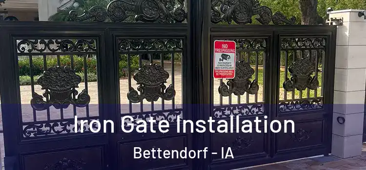 Iron Gate Installation Bettendorf - IA