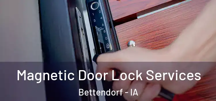 Magnetic Door Lock Services Bettendorf - IA