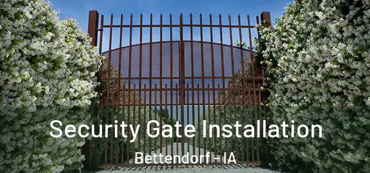 Security Gate Installation Bettendorf - IA